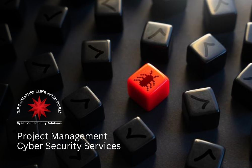 Project Management Cybersecurity Services