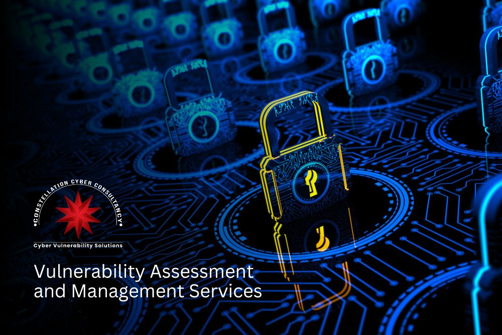 Expert Vulnerability Assessment and Management Services